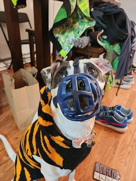 Mayerzon Dog Muzzle, Breathable Basket Muzzles for Small, Medium, Large and X-Large Aggressive Dogs Beagle German Shepherd Doberman, Cage Mouth Guard Stop Biting Chewing for Grooming Training