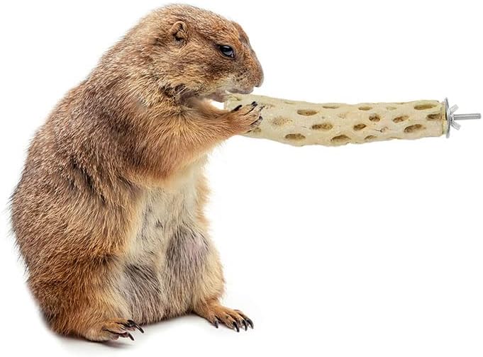 Mineral Perch - Healthy Natural Cage Accessory Toy for Chewing Animals - Squirrels, Chinchillas, Degus, Prairie Dogs, Rats, Hamsters, Mice, Parrots & Other Small Pets