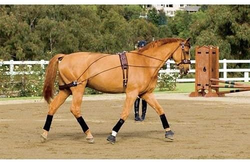 Dover Saddlery Balance Complete Training System, Color: Brown, Size: F/S