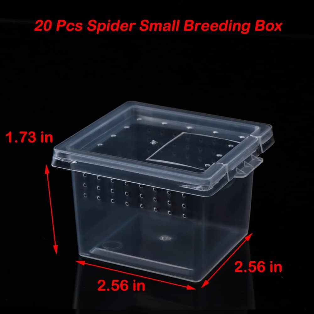 20 Pcs Spider Terrariums Breeding Box Hatching Container Acrylic Feeding Box for Small Reptile Scorpion Centipede Insect (Small Size)