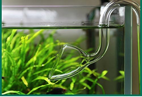Glass Lily Pipe Outflow for Aquarium Planted Tank (13mm for 12/16mm (1/2" ID) tubing)