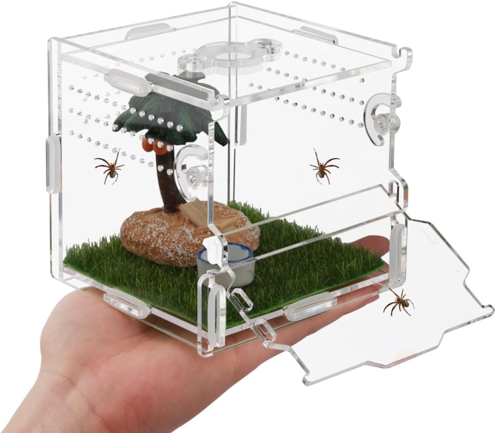 Reptile Terrarium,Tarantula Enclosure,Jumping Spider Enclosure for Tarantula Scorpion Sling Isopods Snail Reptile Invertebrates Accessories(4" X4 X4 )