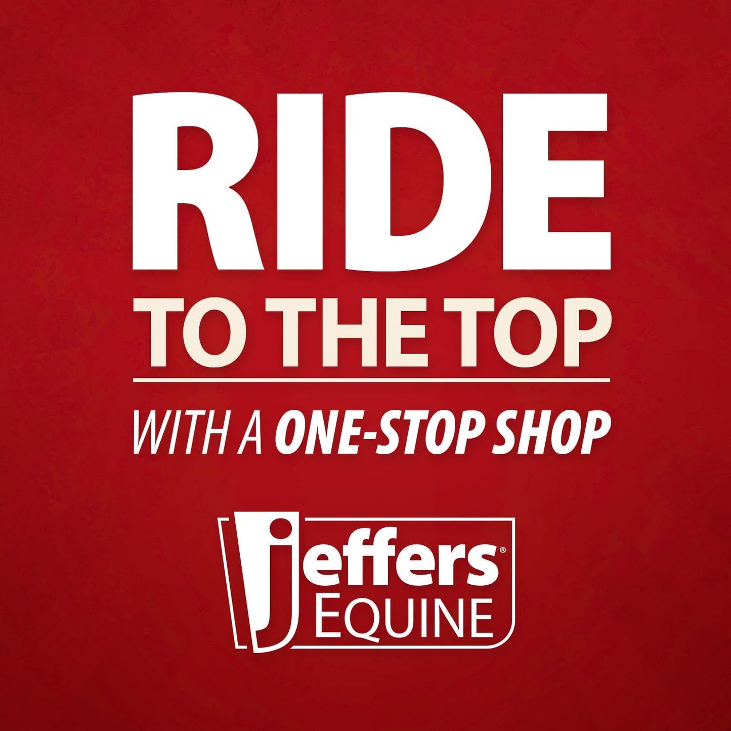 Jeffers Equine Mini Horse Halter – 3/4" Nylon Adjustable Halter for Miniature Horses, Ponies, Under 200 lbs – Heavy Duty Hardware, Secure Fit for Training, Turnout, Grooming, Travel – Dark Green