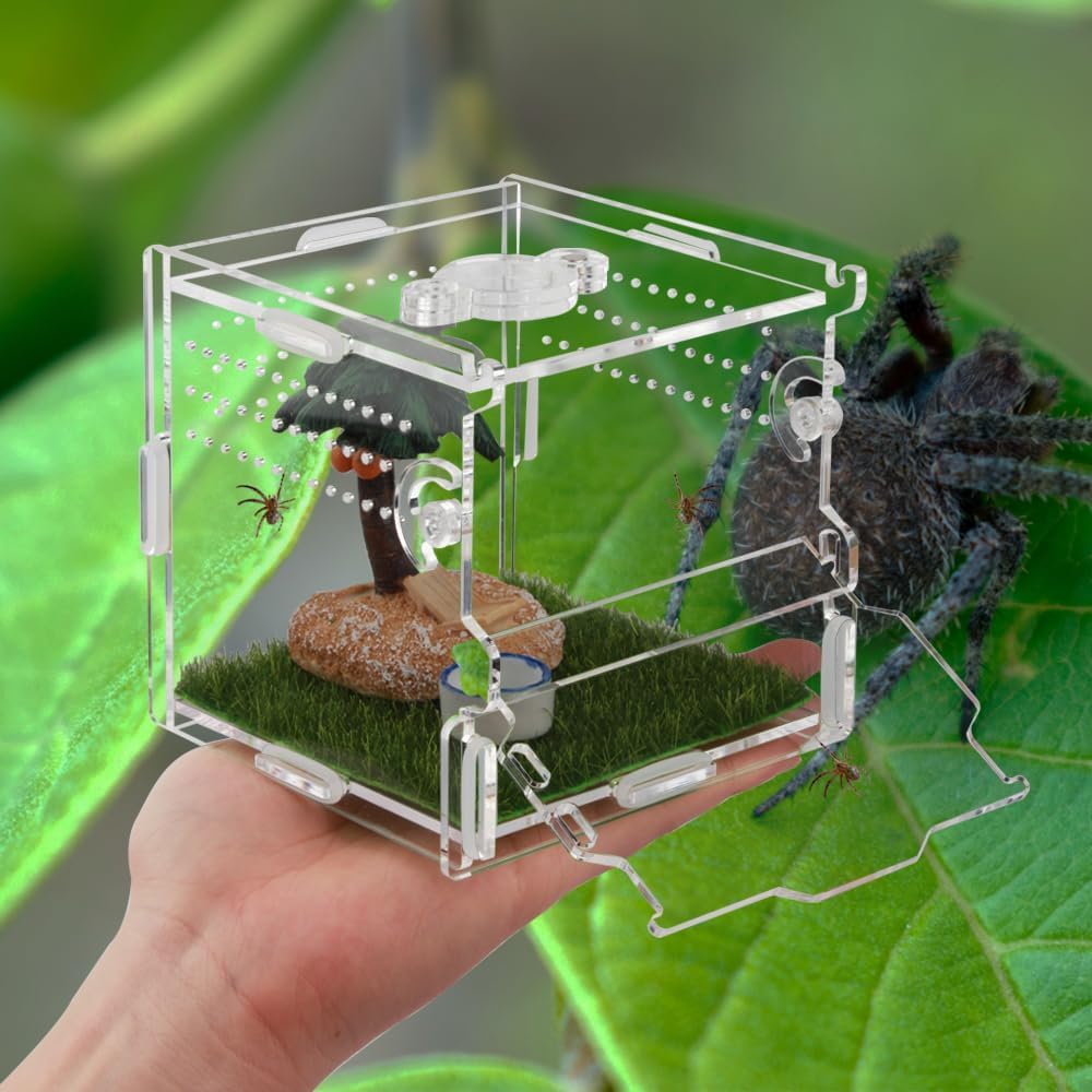 Reptile Terrarium,Tarantula Enclosure,Jumping Spider Enclosure for Tarantula Scorpion Sling Isopods Snail Reptile Invertebrates Accessories(4" X4 X4 )