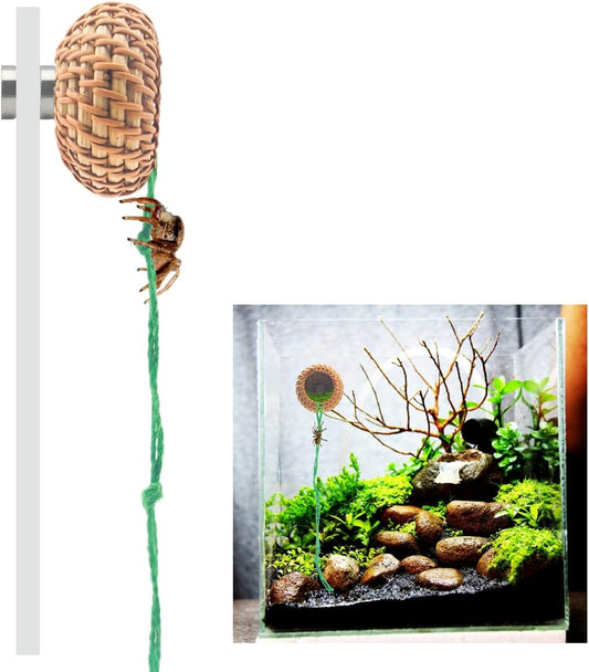 1 Pcs Jumping Spider Accessories,Shelter Made of Cane, Essential for Jumping Spider Hide, Enclosure, and Tarantula Enclosure Accessories