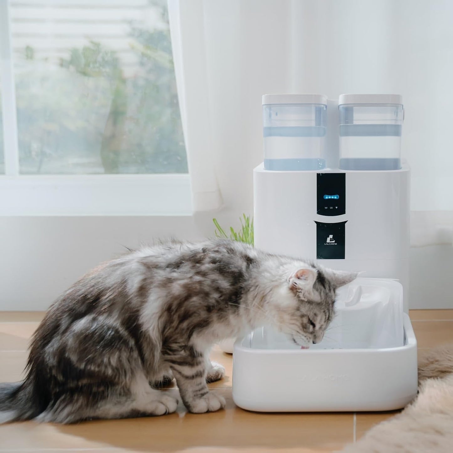 DailyFresh Cat Water Fountain 10L/338 oz Self Refilling, Pet Drinking Fountains for Dogs Indoor, Smart APP 5G WiFi Automatic Water Dispenser Oxygen-Rich, Wastewater Separation, BPA-Free