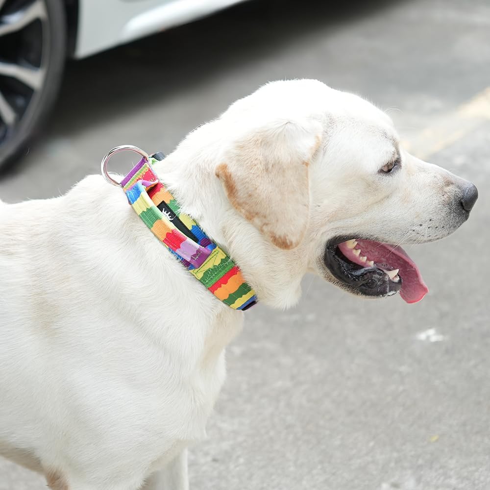 TSPRO Premium Dog Collars Tactical Dog Collar with Handle and Heavy Duty Quick-Release Metal Buckle Durable Thick and Adjustable for Medium to Large Dogs (Vitality Gradient M)