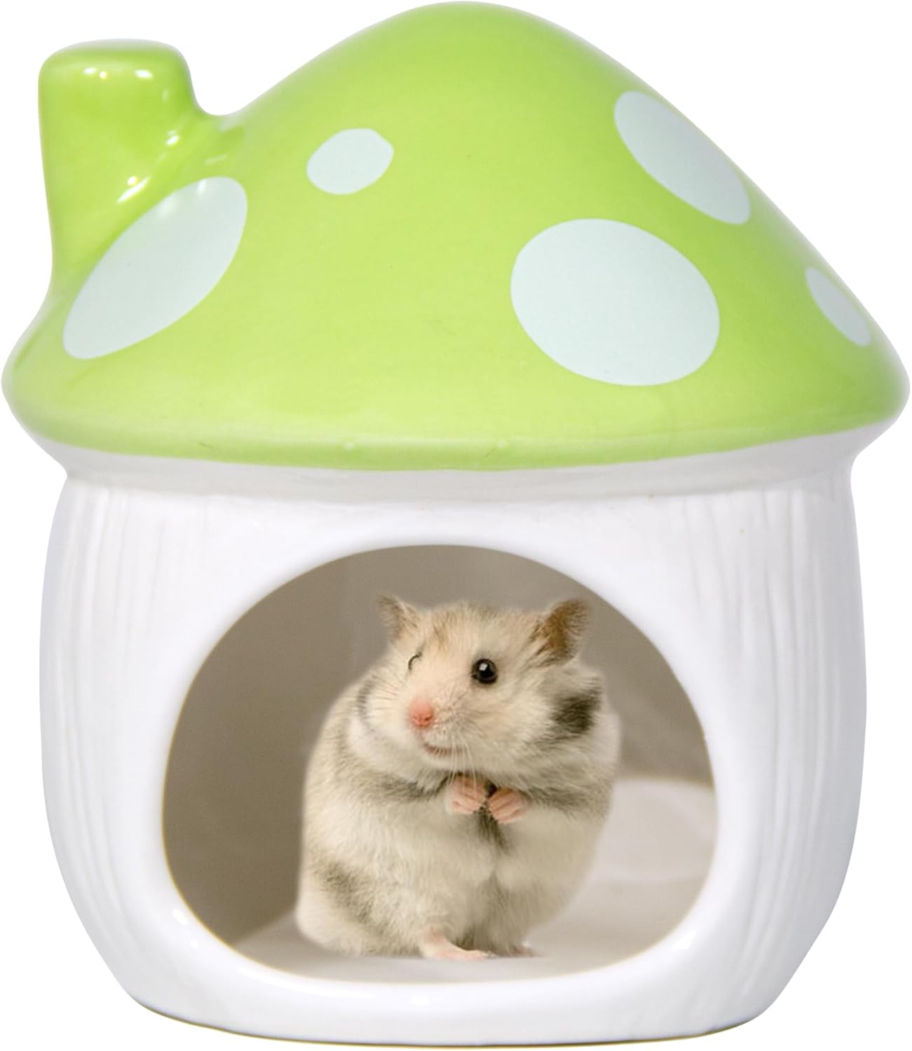 Ceramic Mushroom Hamster Hideout - Hamster Habitat for Hamsters Chinchillas Hedgehogs and Gerbils Mouse Small Pet Guinea Pigs House Hamster Bed (Green)