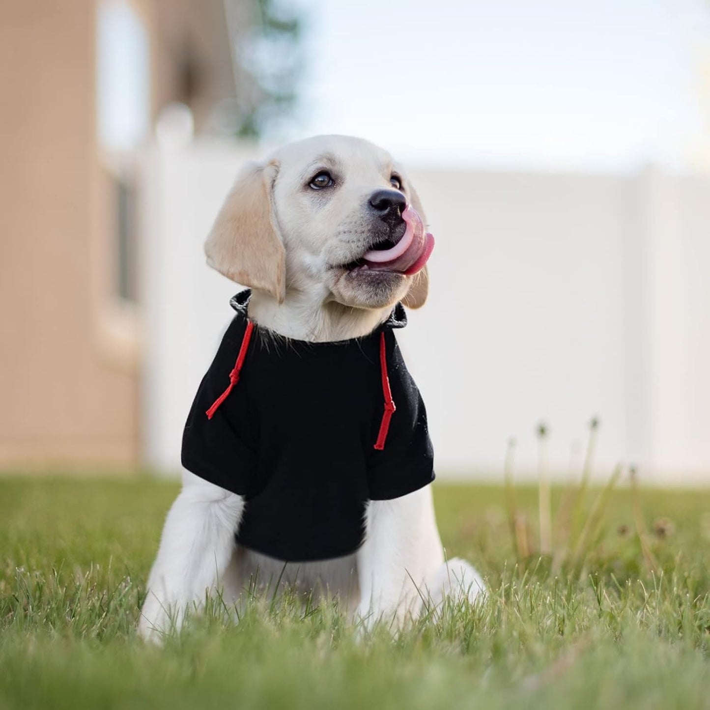 SAWMONG Dog Hoodie,Flannel Pet Hooded Sweater with Hat Puppy Pullover Sweater Shirt,Dog (Black,M)