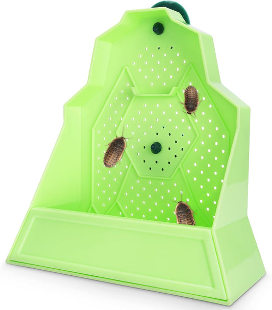 Reptile Anti-Escape Feeding Bowl, Wall-Mounted Feeder for Reptile, Stimulate Hunting Accessories for Terrarium, Vivarium and Paludarium, Suitable for Lizard, Gecko & Frog, Large