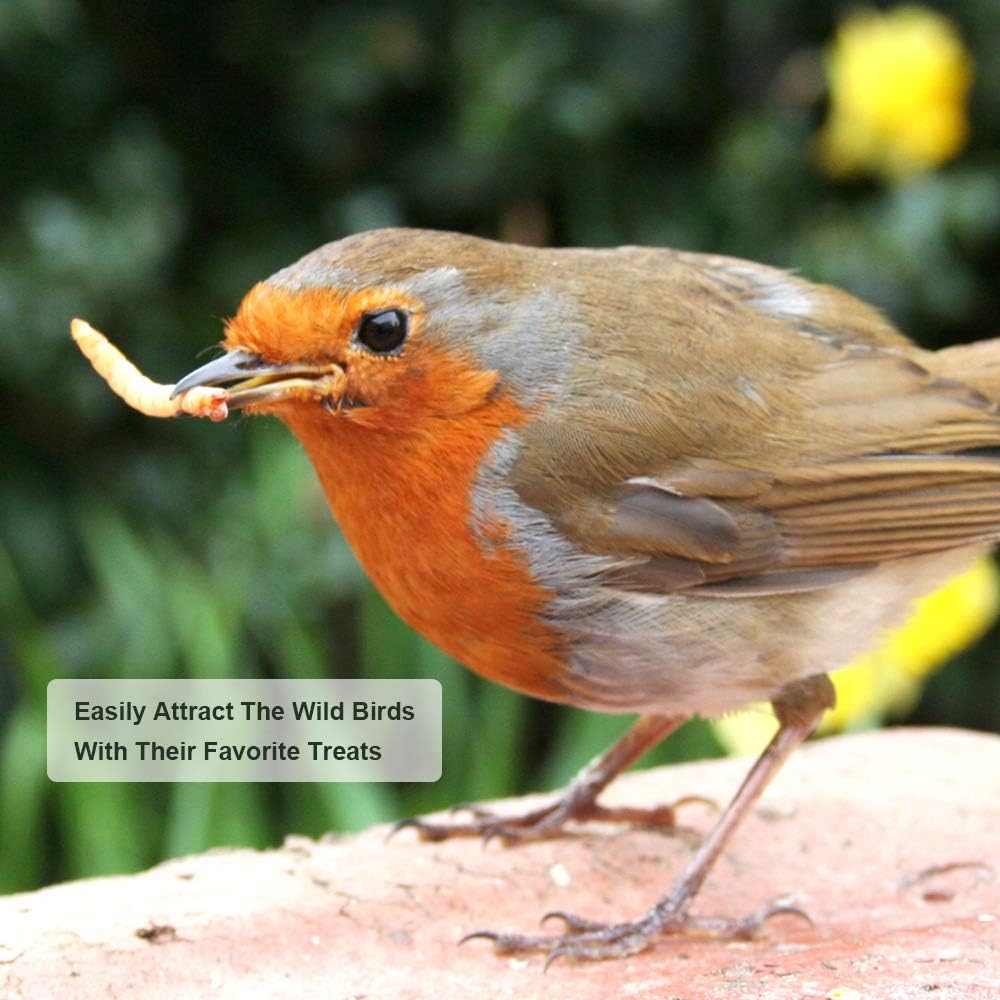 Dried Mealworms, High-Protein Bulk Mealworms 22Lbs, 100% Non-GMO Mealworm Treats for Birds, Chickens, Turtles, Fish, Hamsters and Hedgehogs All Natural Animal Feed