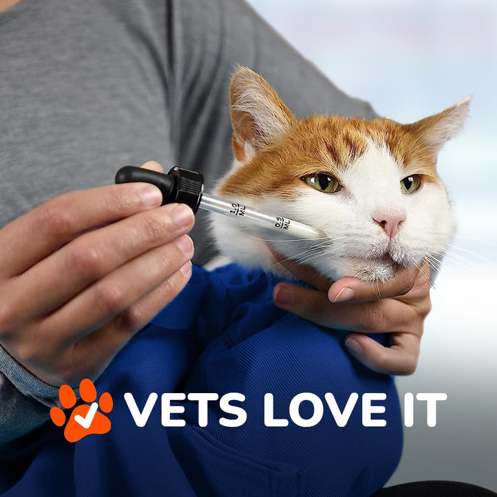 Cozy Comfort Carrier - X-Small Cobalt Blue Cat Carrier Soft for Grooming, Vet Visits, Medication Administration, Dental Care, Nail Trimming, and Car Travel