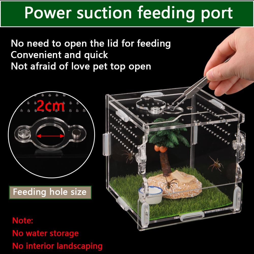 Reptile Terrarium,Tarantula Enclosure,Jumping Spider Enclosure for Tarantula Scorpion Sling Isopods Snail Reptile Invertebrates Accessories(4" X4 X4 )