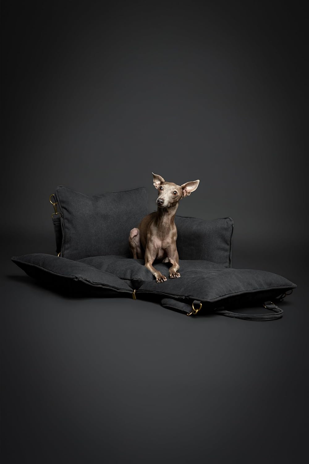 Noah & Paw Dog Car Seat Carrier, Small Dog Car Seat for Small Medium Pets with Harness Clip, 4X Safety Feature, Booster Travel Bed, Waterproof Washable, Orthopedic Foam Filling, Canvas Collection