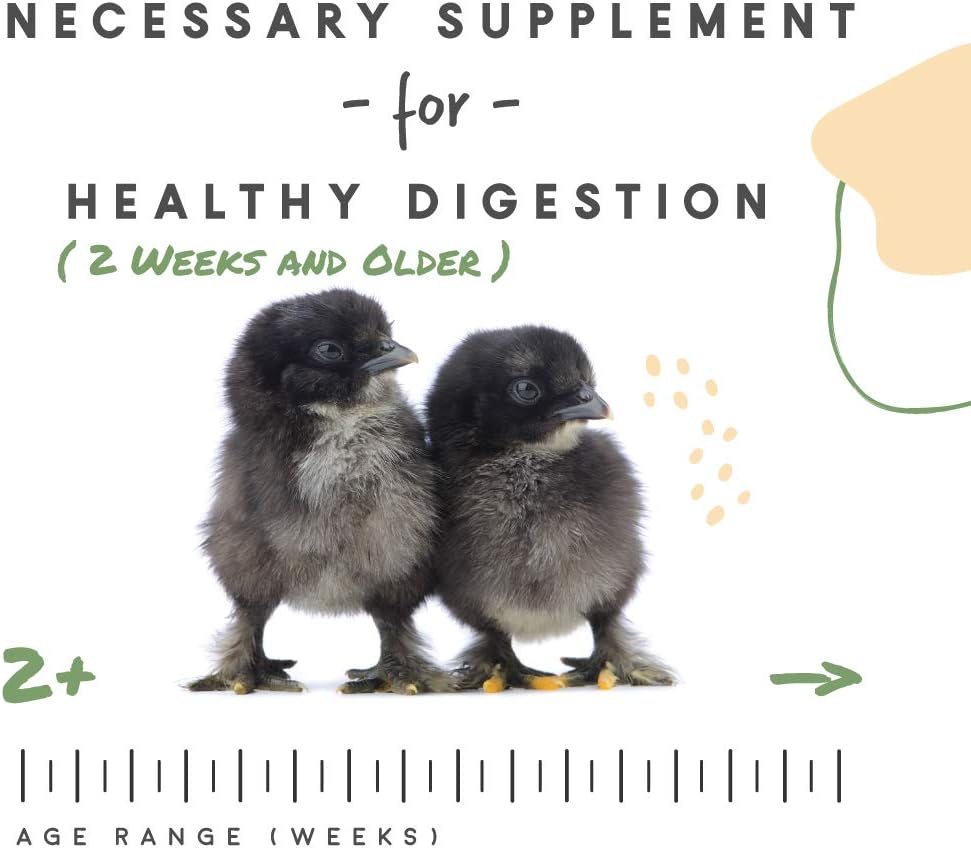 Manna Pro Chick Grit, Digestive Supplement for Young Poultry and Bantam Breed, Probiotics to Support Digestion, No Artificial Ingredients or Preservatives, Insoluble Crushed Granite, 25 lbs