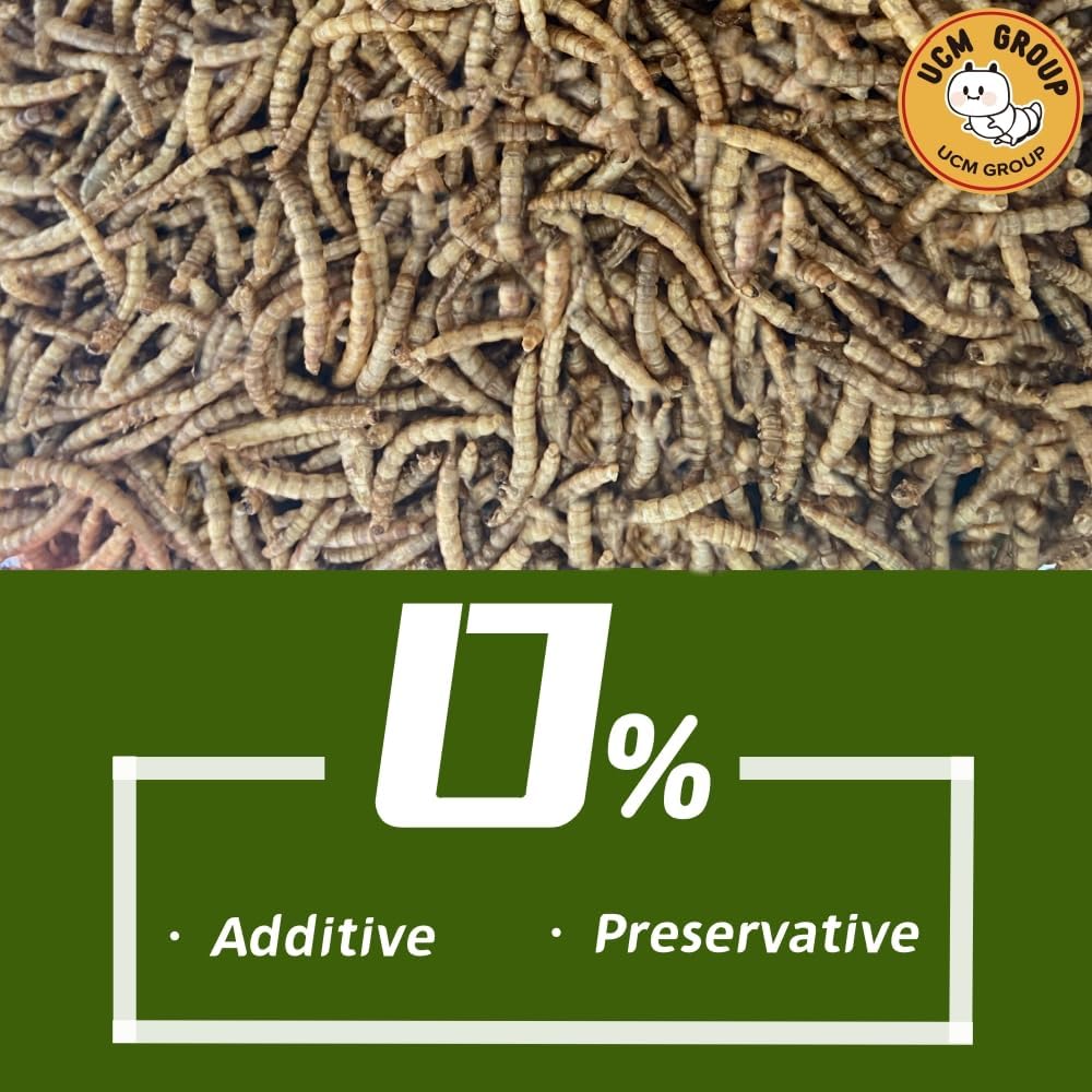 UCM Group 20LB Dried Mealworms for Wild Birds, Chickens, 100% Non-GMO,High Protein, 2 Packs
