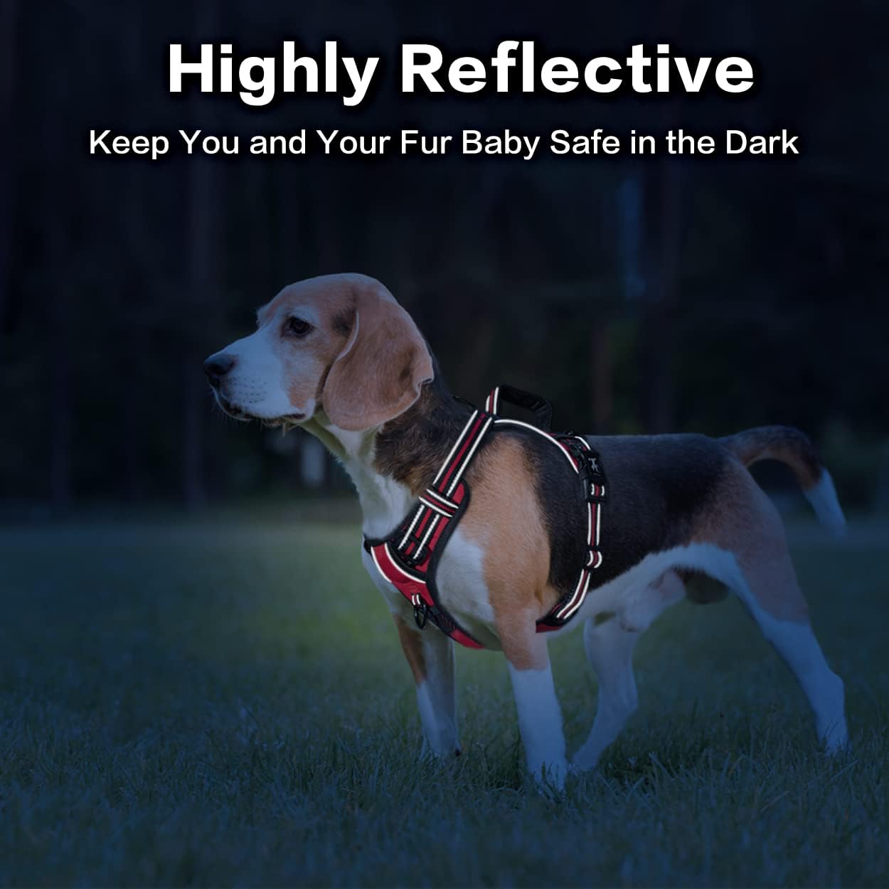 PoyPet No Pull Dog Harness, No Choke Front Clip Reflective Dog Vest with Soft Padded Vertical Handle, 3 Leash Attachments for Small Medium Large Dogs (Red,XL)