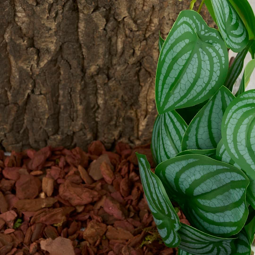 Reptile Plants for Terrarium, Amphibian Habitat Decor Artificial Hanging Plants with Suction Cup - Fake Calathea Orbifolia