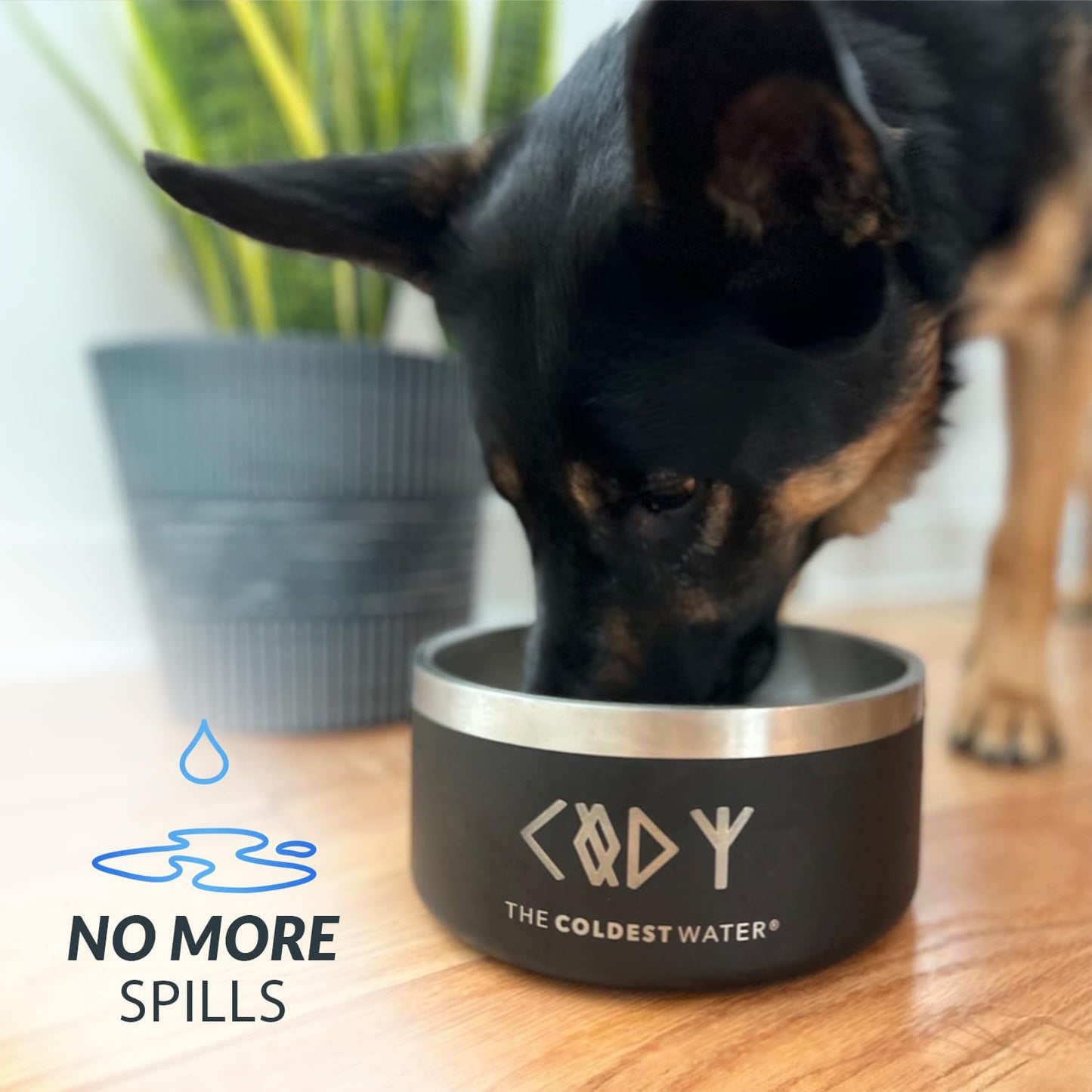 Coldest Dog Bowl - Anti Rust Metal, Non Slip, 3 Layers Insulated Stainless Steel Dog Bowls - Spill Proof & Heavy Duty - Water Bowl for Dogs, Cats & Pets, Dish Washer Safe (200 oz, Solar Yellow)