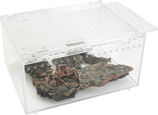 Acrylic Tarantula Enclosure Box No Assembly Reptile Terrarium 8x6x4in Transparent Sling Cage Magnetic Jumping Spiders Habitat Breeding Tank for Lizard Scorpion Insect Isopods Invertebrates