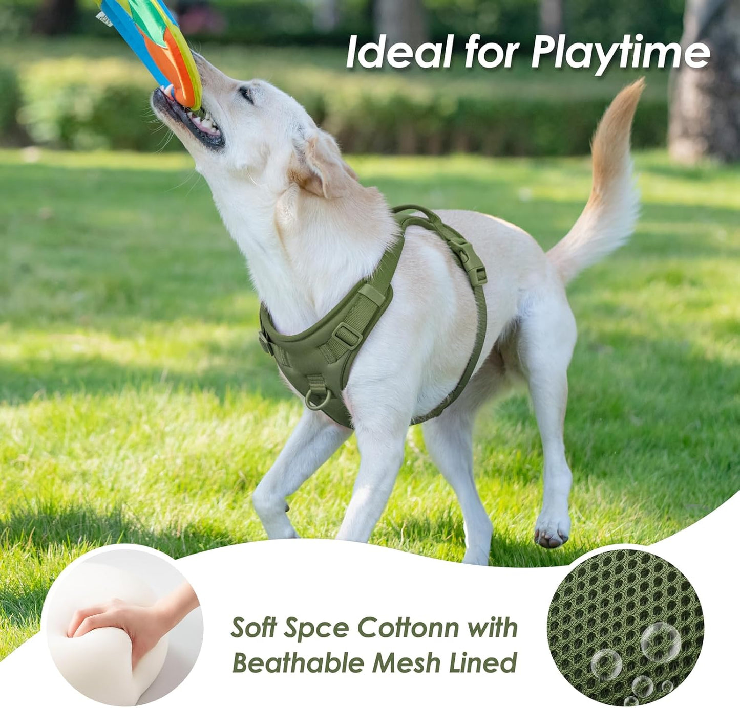 No Pull Dog Harness, Puppy Vest with Front Clip for Small Medium Large Sized Dog (Misty Green,S)