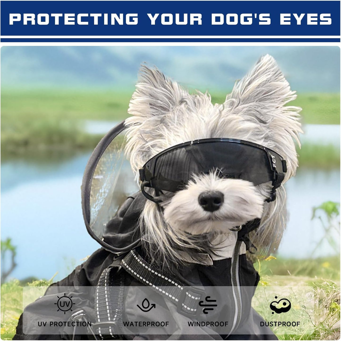 Dog Goggles for Small to Medium Breed, Dog Sunglasses UV Protection, Windproof & Anti-Fog, Puppy Sunglasses with Padded Frame and Adjustable Straps for Outdoor Riding, Driving(Black)