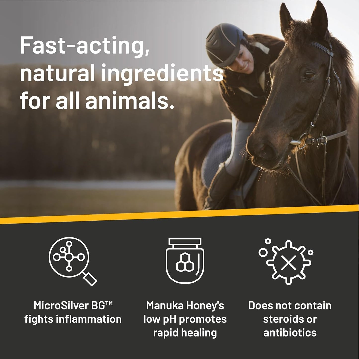 Absorbine Silver Honey Rapid Wound Repair Ointment Twin Pack 2oz Tubes, Manuka Honey & MicroSilver BG