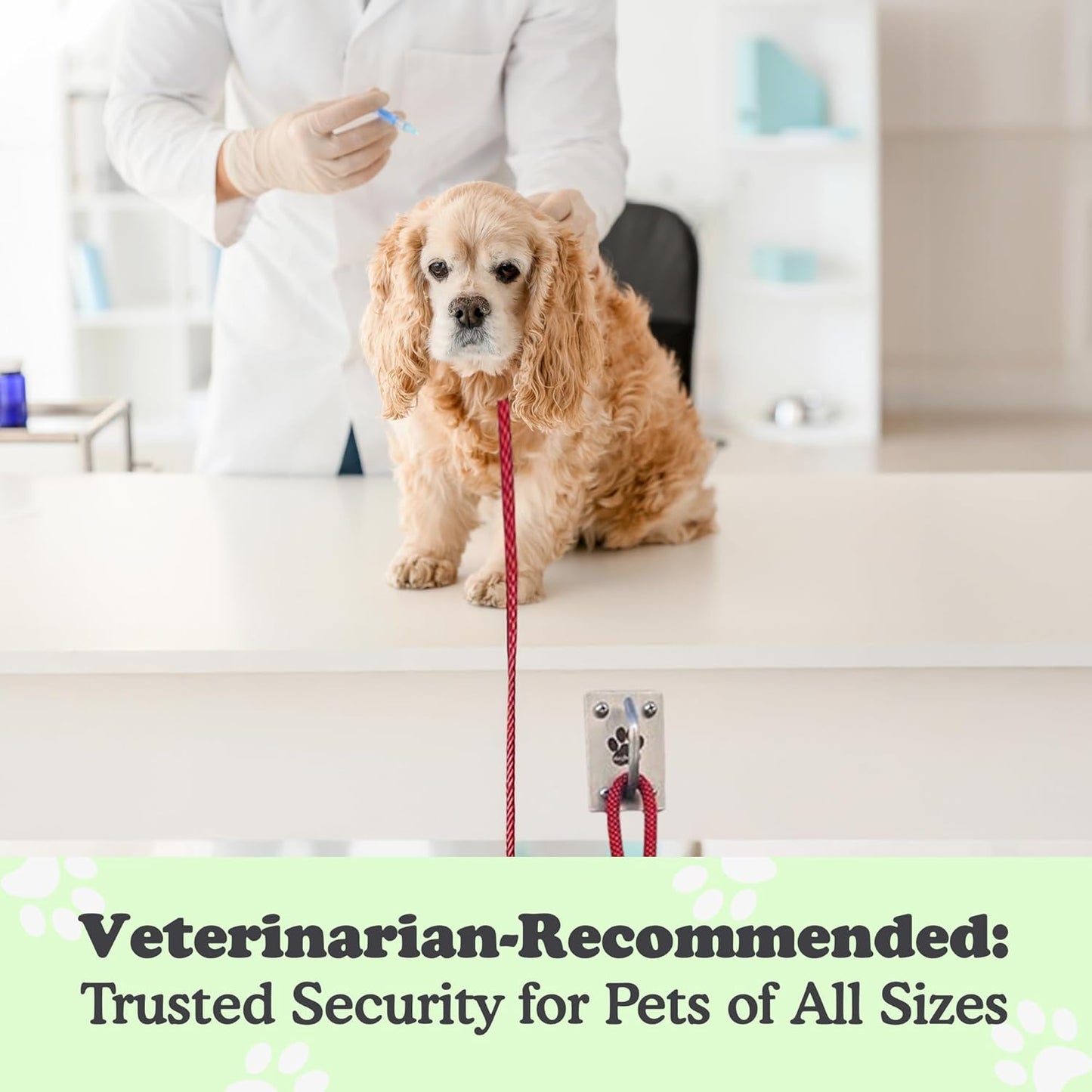 Canine Hitch- Secure Dog Leash Parking Mounted Indoor – Outdoor Wall Hook - Tie Out Stainless Steel Practical Lead Management for Home & Business, Ultimate Strength 6 Packs