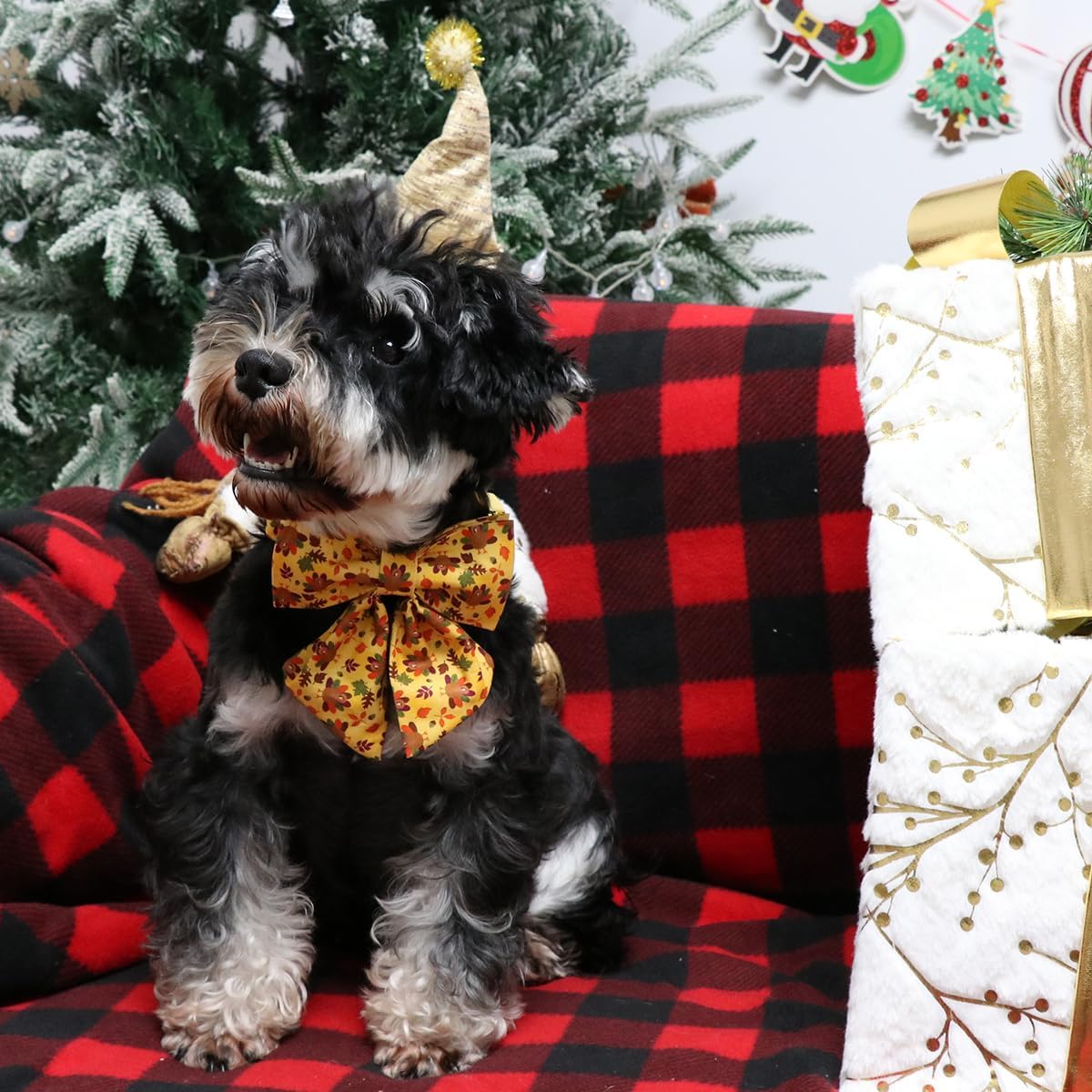 Lionet Paws Thanksgiving Day Dog Collar with Bowtie, Dogs Sailor Bow Collar with Metal Buckle for Dogs, Adjustable Comfortable Dog Collars Girl, L, Neck 16-24 in