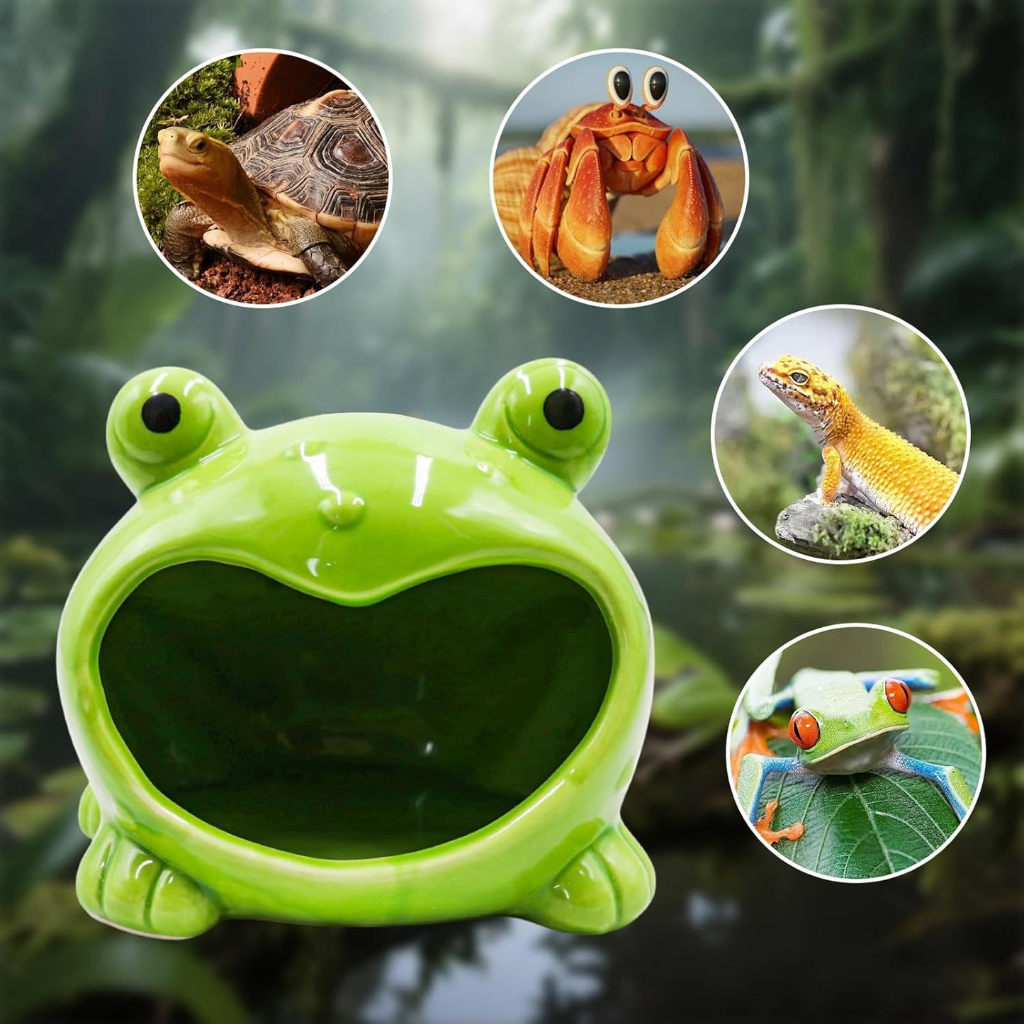 Reptile Tank Accessories – Ceramic Cartoon Frog Hideout with Open-Mouth Entrance, Cute Habitat Shelter for Hermit Crabs, Tortoises, Geckos, Tarantulas & Small Reptiles