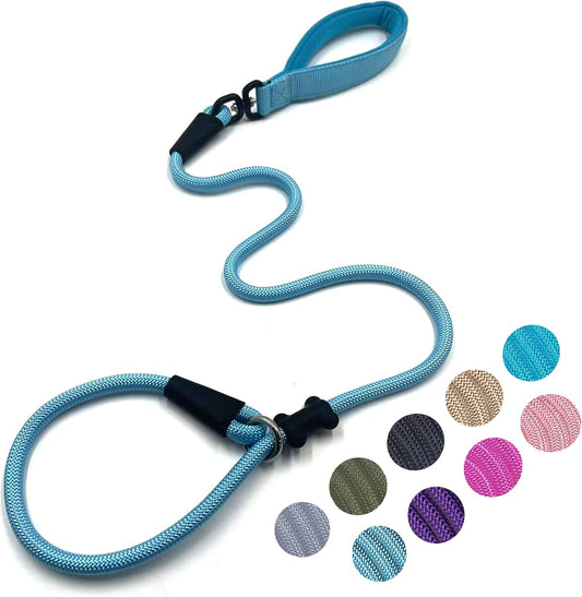 Slip Lead Dog Leash,Strong Nylon Rope Leash and Padded Handle,No Pull Outdoor Walking Training Lead for Small Medium Large Dogs (Light Bule,1/2"×4ft)