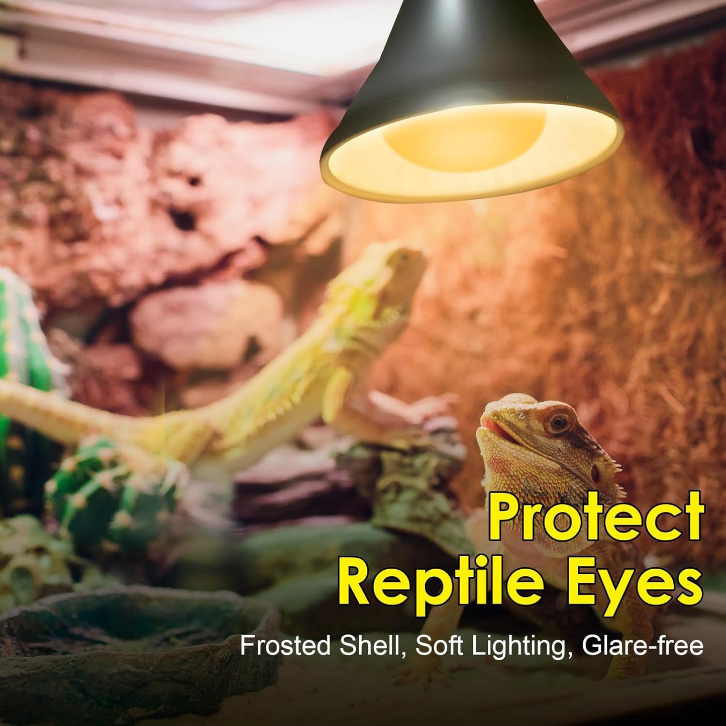 MIXJOY 2Pack Reptile Heat Lamp Bulbs 75W, 60% Intense Heat Bulb UVA Daylight Basking Spot Bulb for Reptiles, Turtle, Lizard, Tortoise, Bearded Dragon, Gecko, Chicken