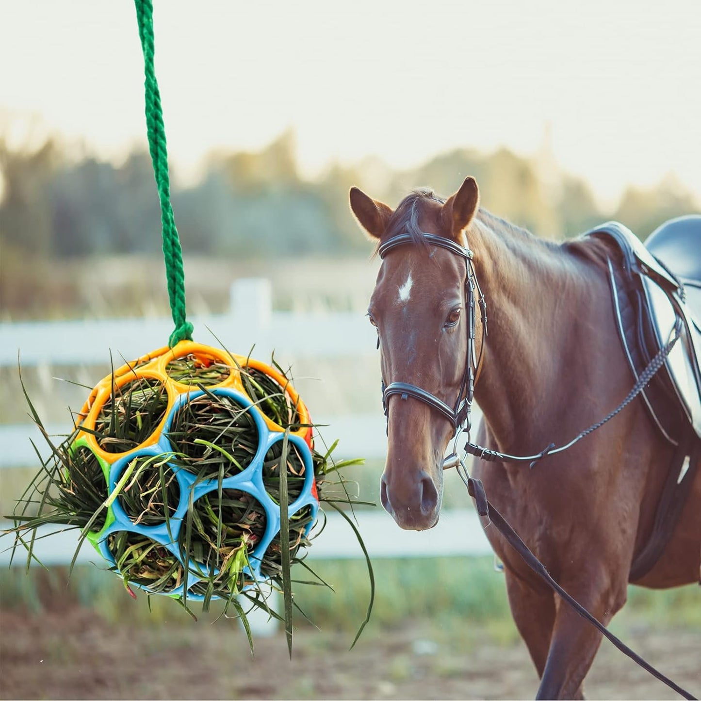 Besimple 2 Pack Horse Treat Ball Hay Feeder Toy, Goat Feeder Ball Hanging Feeding Toy for Horse Goat Sheep Relieve Stress (Colorful)