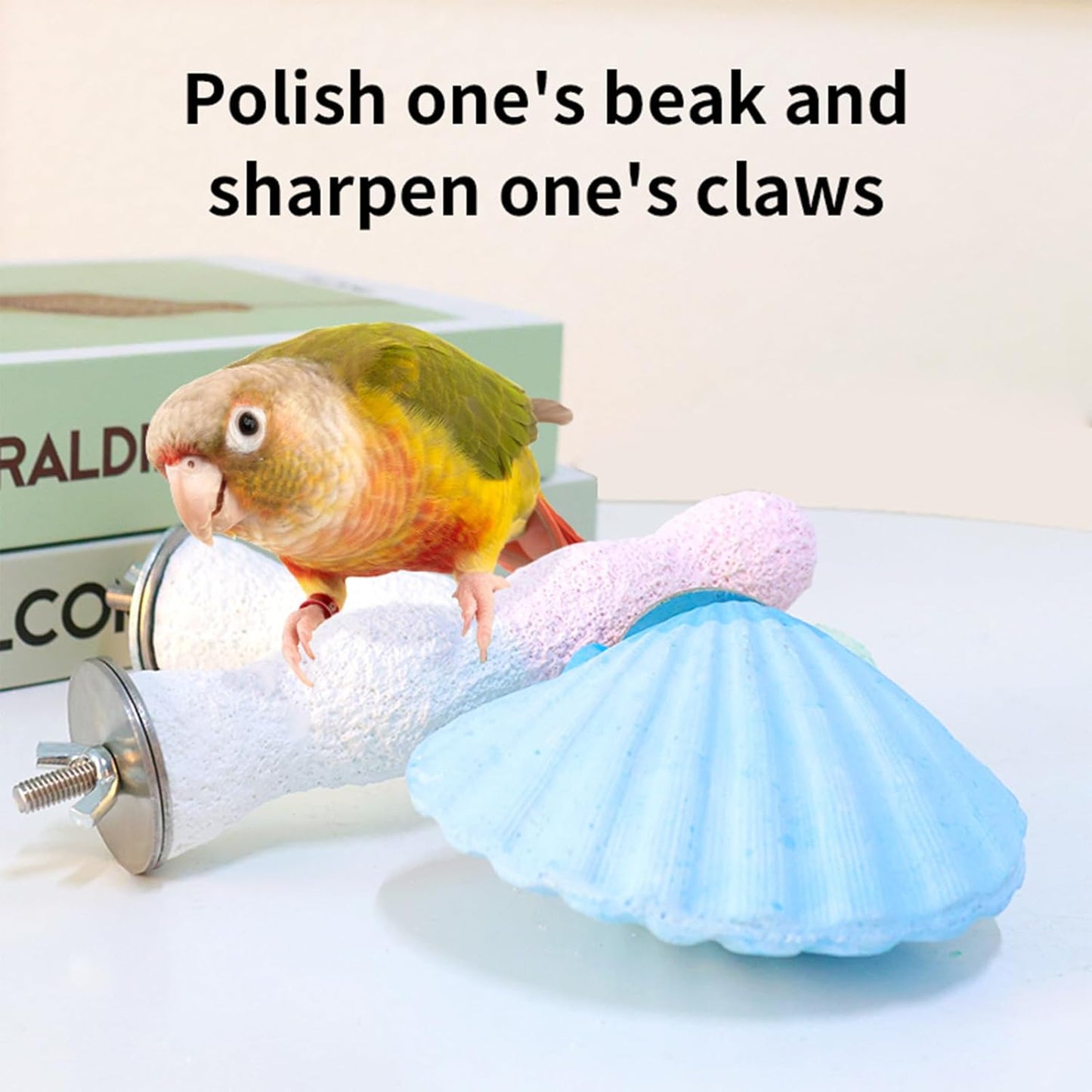 Bird Perches for Cage, Abrasive Surface High Calcium Mineral Parrot Perch Stand - Bird Nail File for Claw & Beak Health, Colorful Ceramic Bird Cage Accessories (Blue, Shell)