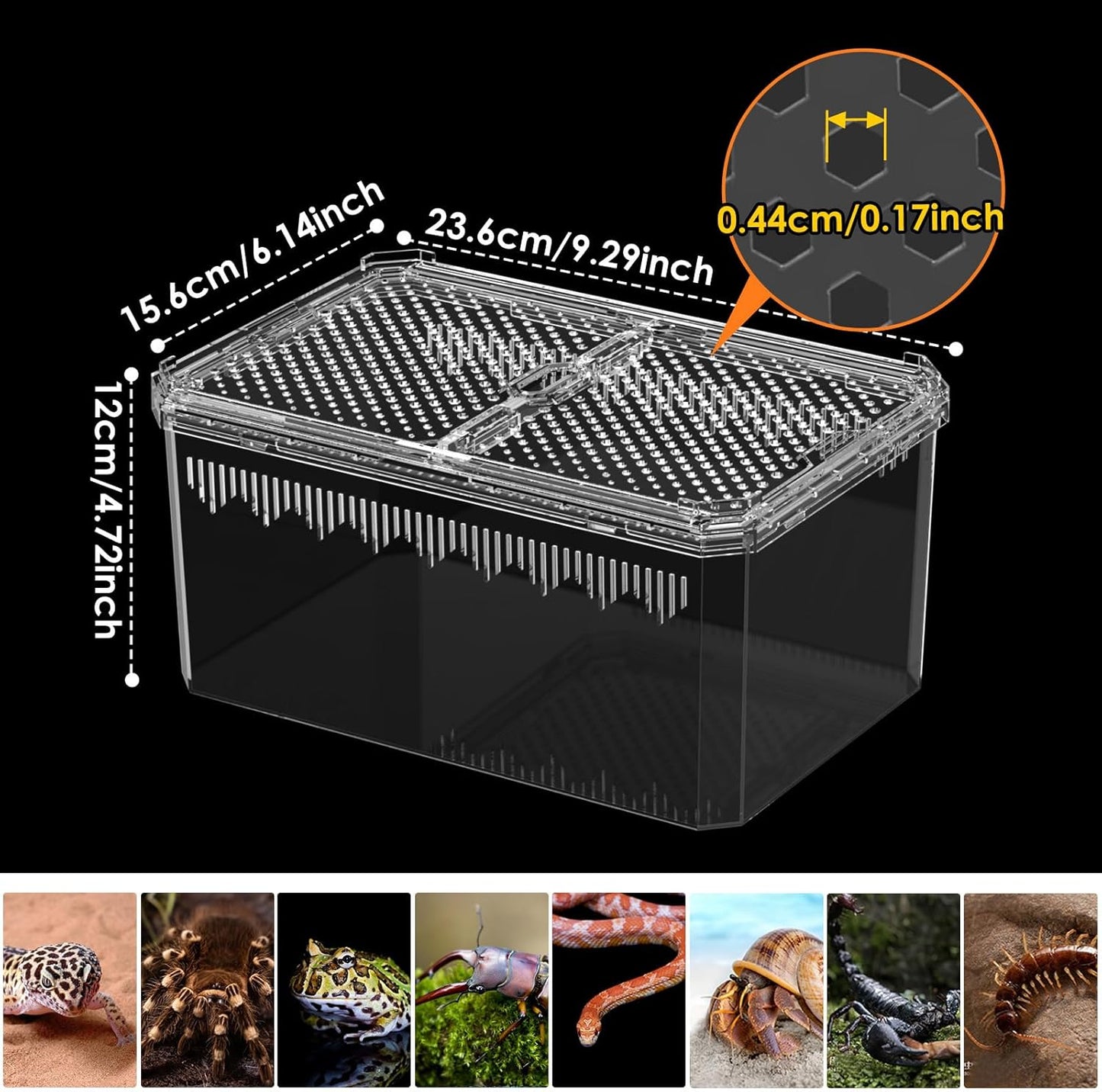 Breathable and Secure Reptile Tank with high Transparency - Ideal Container House for Hermit Crab, Tarantula Enclosure, Turtle Tank or Jumping Spider Habitat (M)