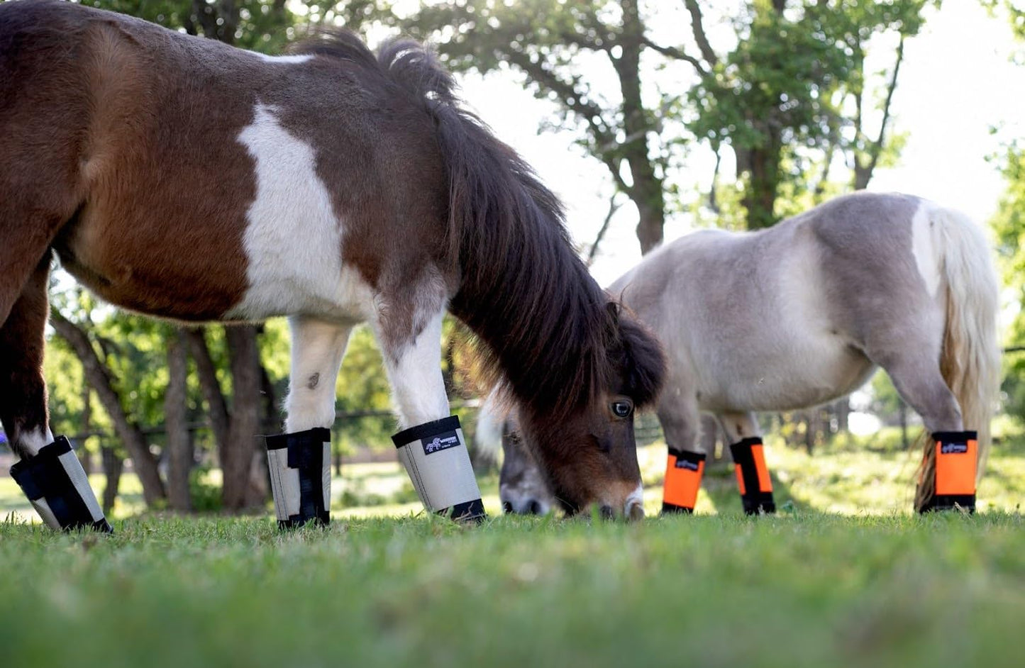 Warrior Fly Boots for Horses - Breathable Mesh Horse Boots for Fly Protection & Leg Comfort - Set of 4 (Knight Warrior, Neon Pink)