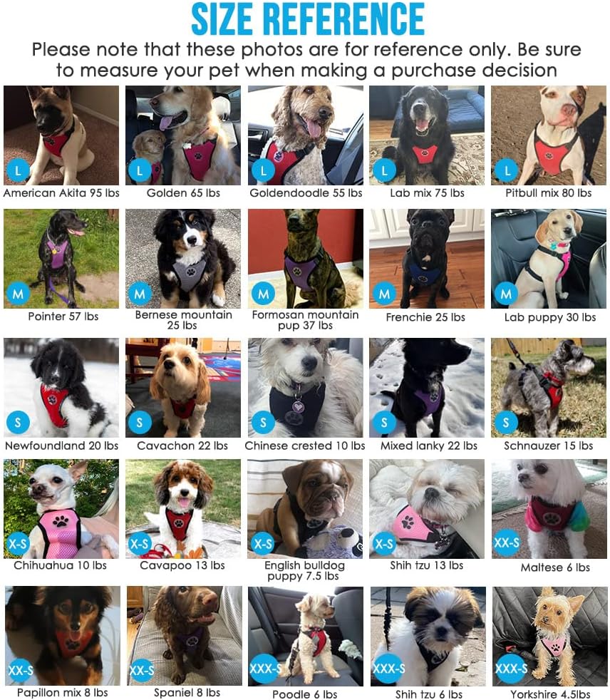 Lukovee Dog Seat Belt for Car, Adjustable Dog Car Harness for Large Medium Small Dogs, Soft Padded & Breathable Mesh Dog Seatbelt with Car Vehicle Connector Strap (Purple,Small)