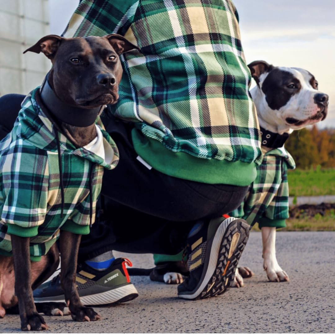Spark Paws Dog Hoodie – Premium Dog Sweater for Small, Medium, and Large Dogs | Warm Outfits for French Bulldogs, Pitbull, Puppy, Winter Jacket Alternative - Green Plaid - XL