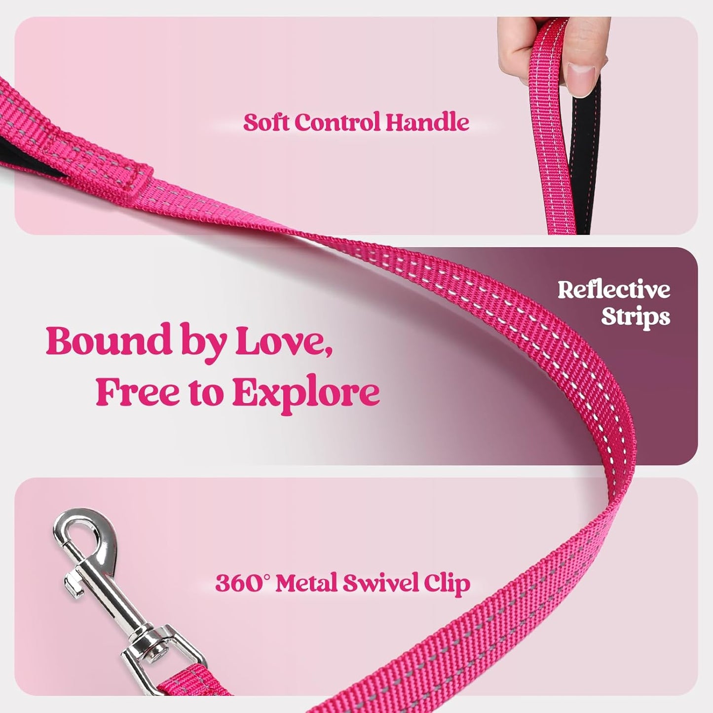 rabbitgoo Dog Harness Small Sized and Leash Set, Step in Soft Light Puppy Vest, Breathable Mesh Pet Harness, Reflective for Safe Easy Walking, Rose Red XXS