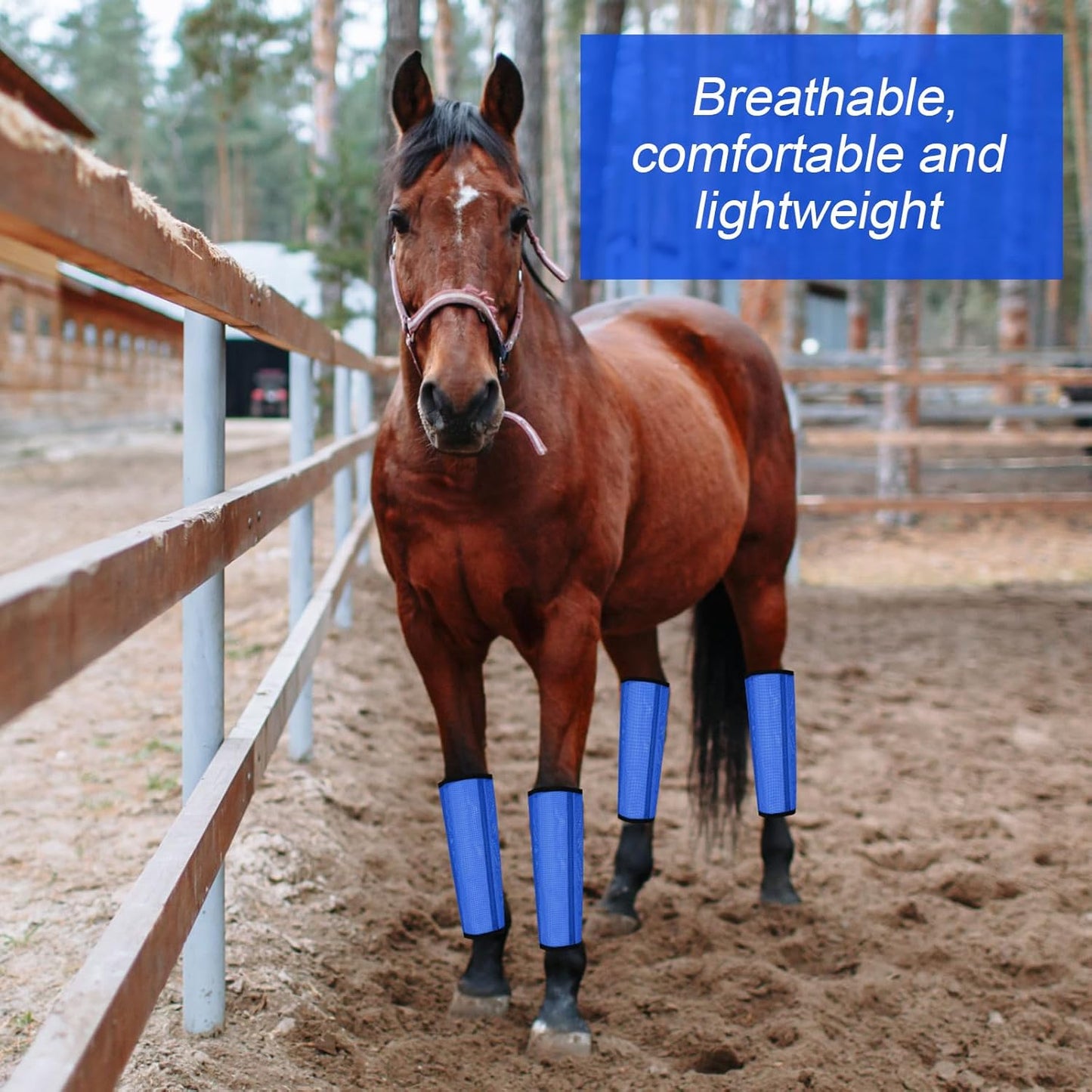 8 Pcs Mesh Fly Boots for Horse Breathable Mesh Horse Boots Protective Horse Leg Wraps Horse Leggings for Preventing Flies and Mosquitoes Bites (Light Pink, Dark Pink)