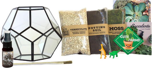 Cute Farms Glass Terrarium Kit | Just Add Your Own Plants (Geometric Glass)