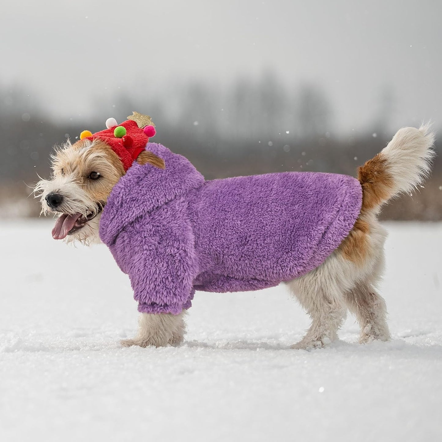Fuzzy Dog Sweaters for Small Dogs Dog Hoodie Soft Double-Sided Plush Fleece Pet Sweater Pet Clothes Coats Hoodie Sherpa Hooded Sweatshirt(Purple-S)