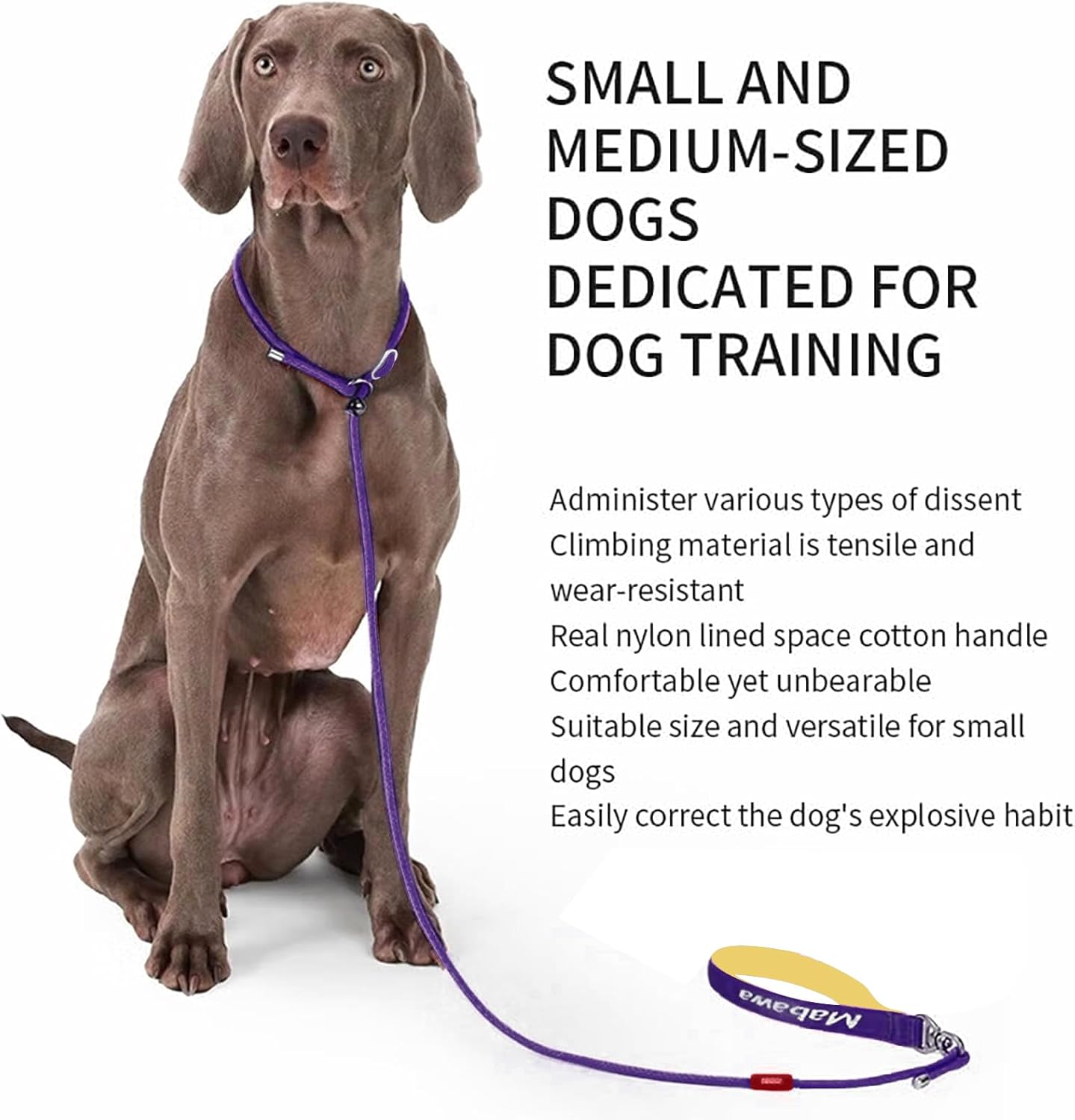 Dog Anti-Slip Leash 5FT with Metal Stopper - Durable No-Pull Training Lead for Small, Medium & Large Dogs - Comfortable Handle Nylon Rope, Tangle-Free Pet Walking Leash (Purple, 5 FT)