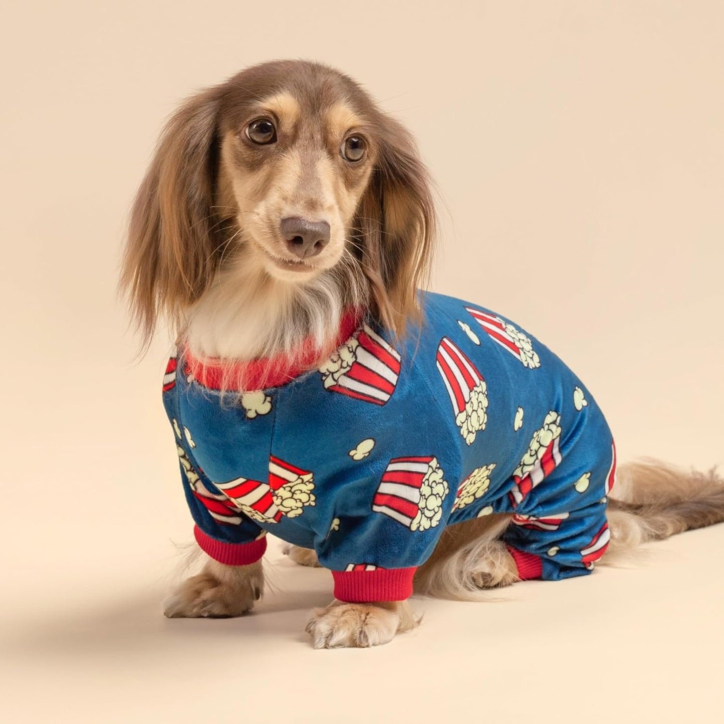 Fitwarm Popcorn Dog Pajamas, Funny Dog Clothes for Small Dogs Boy Girl, Fleece Pet Onesie with Feet, Blue, Red, White, Yellow, Large