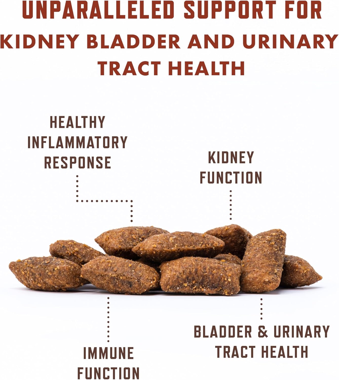 Rocco & Roxie Cat Urinary Tract Health Supplement, Cranberry and D-Mannose for Kidney, Bladder, and UT Support, Vet Recommended Chicken Flavored Crunchy Chews Cats Love, Made in USA