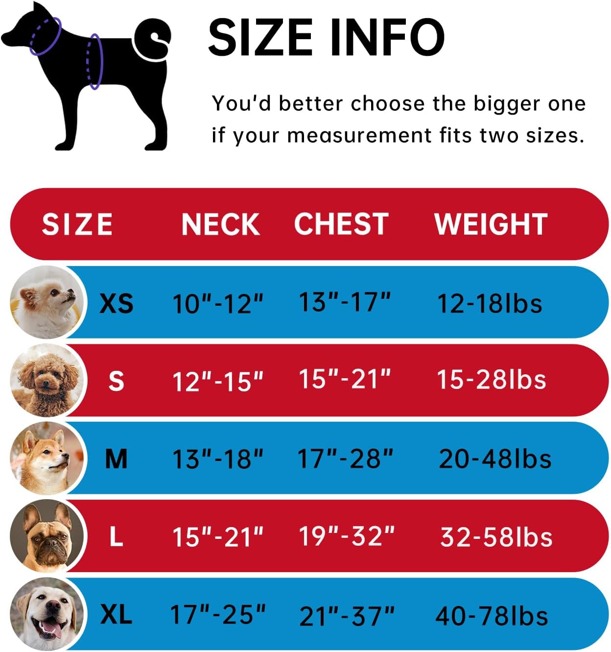 IVY&LANE No Pull Dog Harness for Large Dogs, Dog Vest Harness with Leash, Safety Belt and Storage Strap, Fully Adjustable Harness, 360° Reflective Strip, Soft Handle (Red, XL)