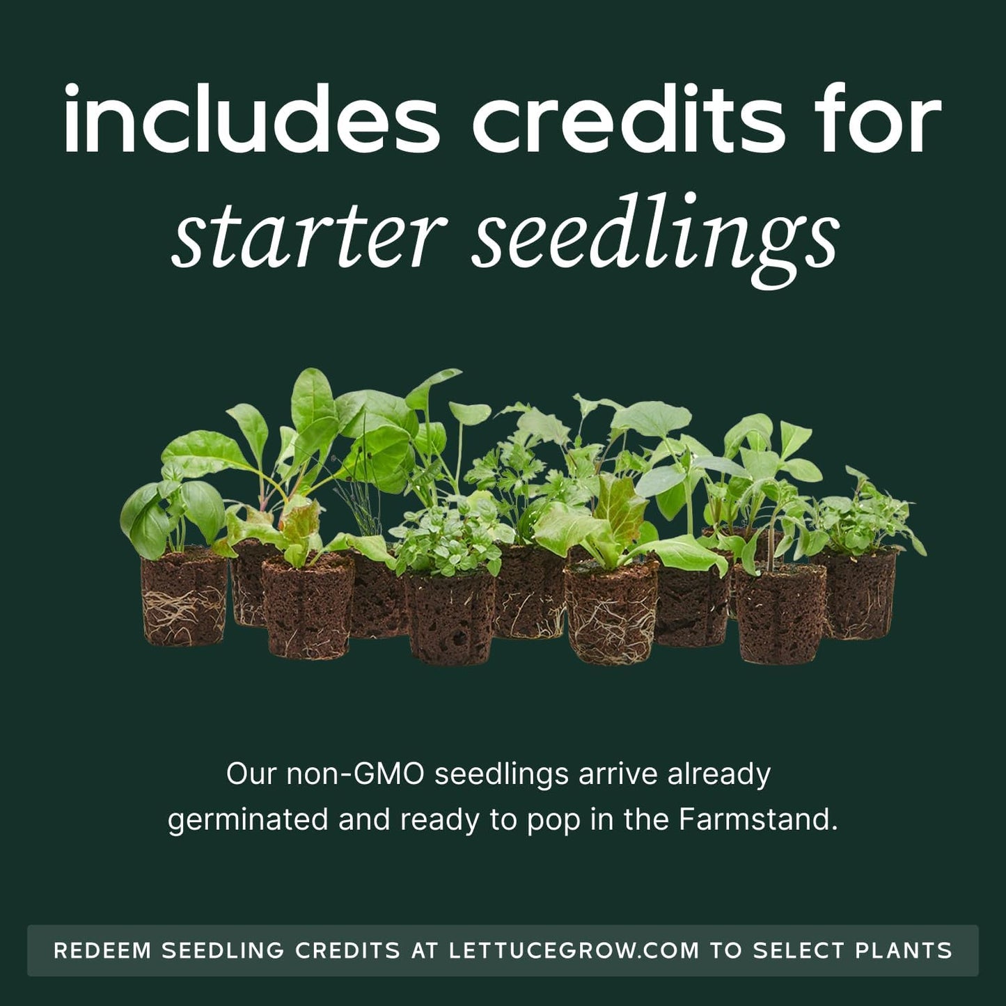 Farmstand Starter Kit + 18 Seedling Credits | Small Hydroponic Growing System Kit | Self-Watering Outdoor Vertical Garden Planter Tower | 4ft 3in | Made in USA