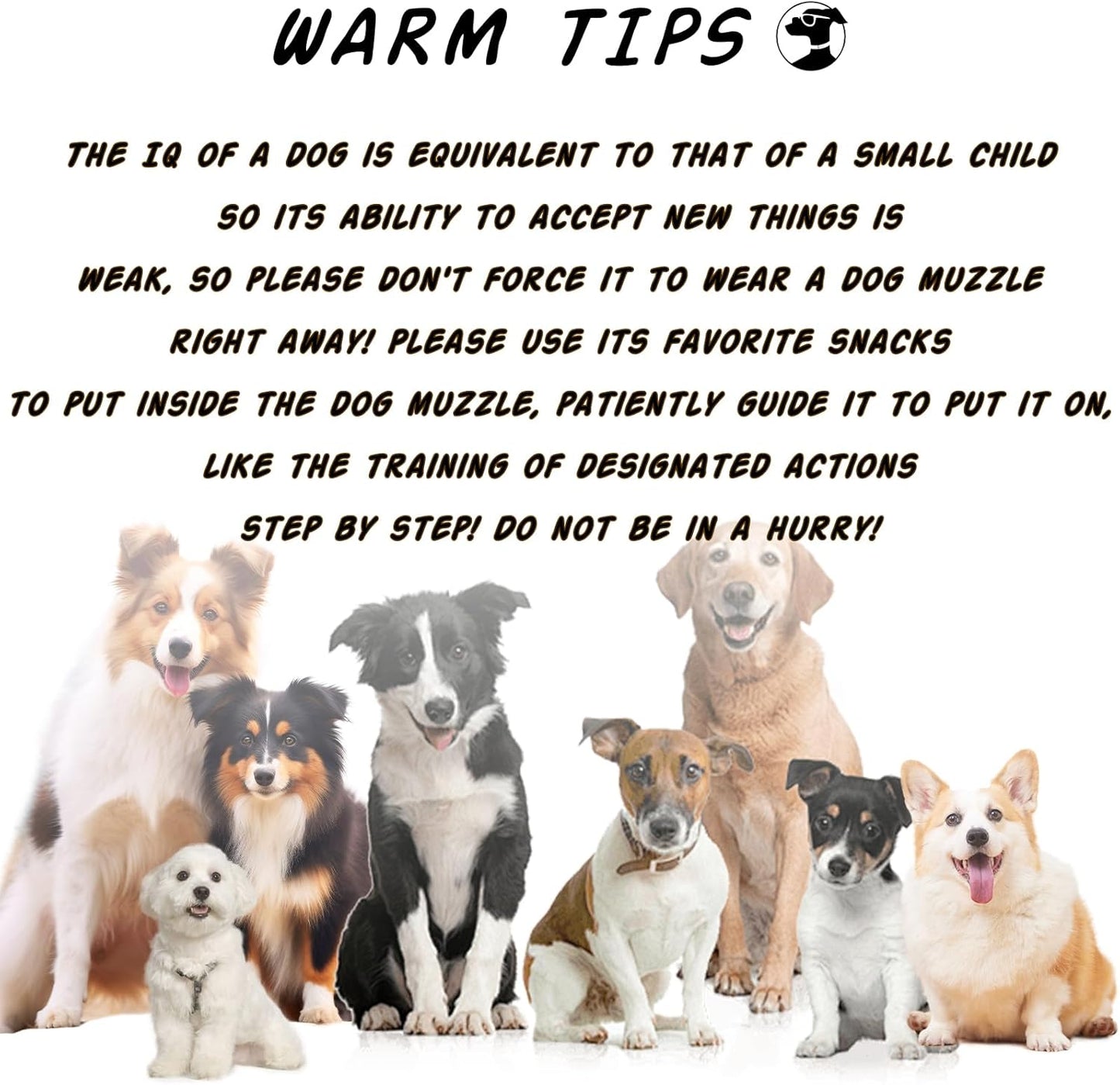 Dog Muzzle, Mesh Soft Muzzle for Small Medium Large Sized Dogs, Breathable Adjustable Puppy Muzzles for Scavenging Biting Licking and Chewing, Allows Panting and Drinking (Reflective Mesh, M)