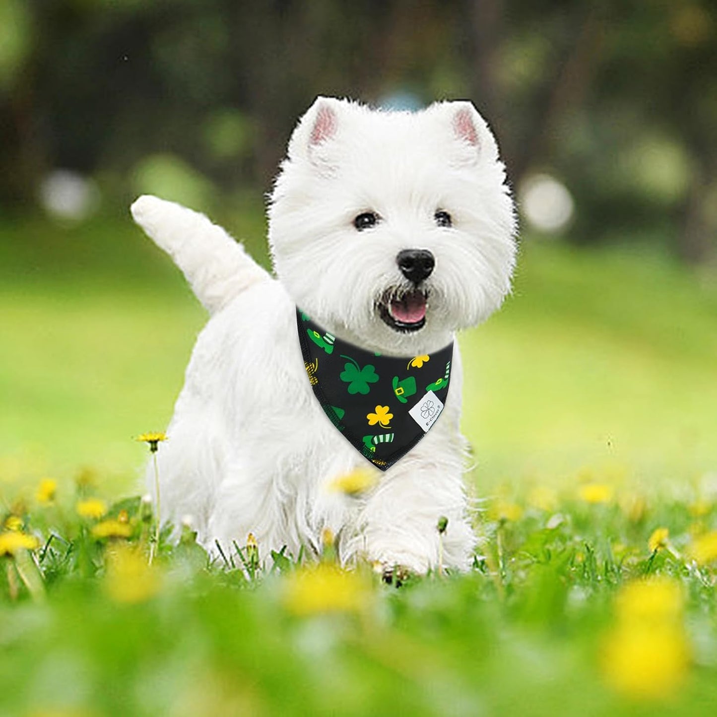 E-Clover Dog Bandana Boy & Matching Scrunchie-Shamrock Dog Bandanas Irish Pet Scarf Bib for Samll Dogs Puppy Girl Owner Gift Dark Green
