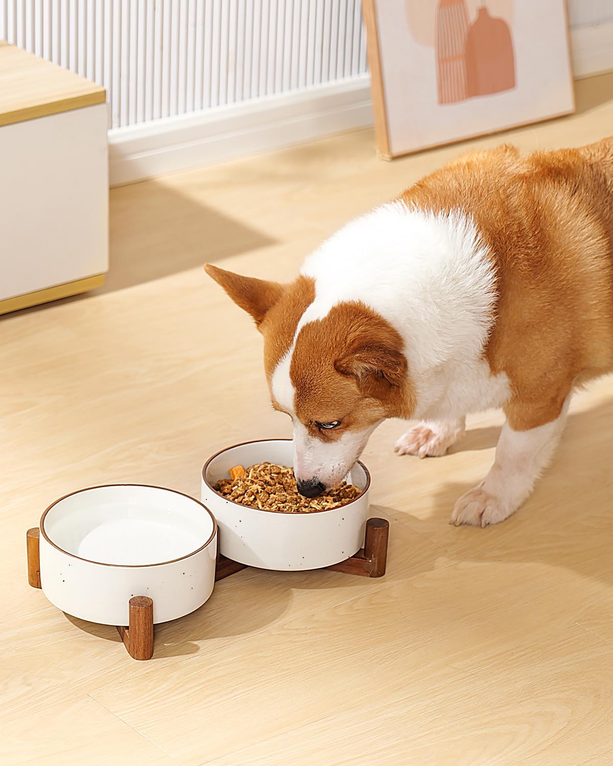 Getstar Ceramic Dog Bowls with Acacia Wood Stand, 30 fl oz, Set of 2, Dog Food Bowl with Colored Rim